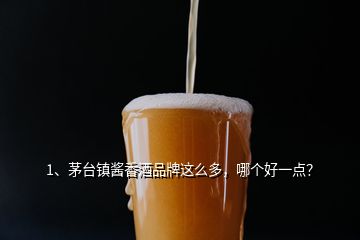 1、茅台镇酱香酒品牌这么多，哪个好一点？