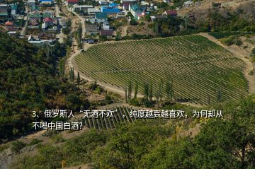 3、俄罗斯人“无酒不欢”，纯度越高越喜欢，为何却从不喝中国白酒？