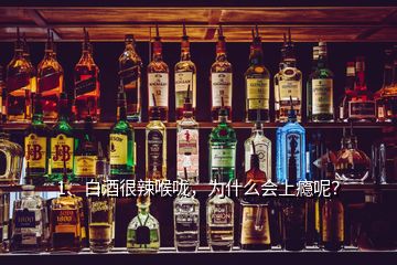 1、白酒很辣喉咙，为什么会上瘾呢？