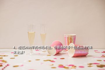 4、经过2020年的市场考验，你最看好哪个白酒品牌的未来发展？