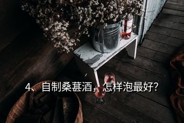 4、自制桑葚酒，怎样泡最好？