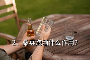 2、桑葚泡酒什么作用？