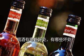 1、喝酒有哪些好处，有哪些坏处？