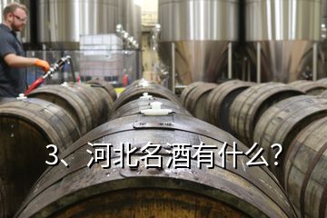 3、河北名酒有什么？