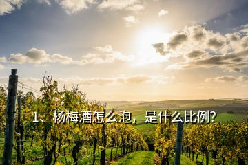 1、杨梅酒怎么泡，是什么比例？