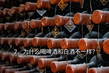 2、为什么喝啤酒和白酒不一样？