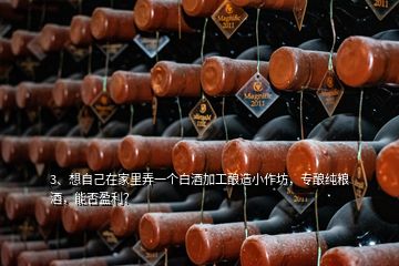 3、想自己在家里弄一个白酒加工酿造小作坊，专酿纯粮酒，能否盈利？