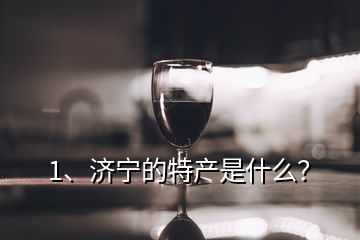 1、济宁的特产是什么？