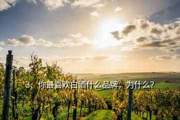 3、你最喜欢白酒什么品牌，为什么？