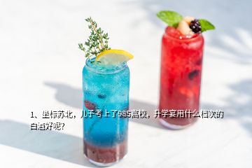 1、坐标苏北，儿子考上了985高校，升学宴用什么档次的白酒好呢？