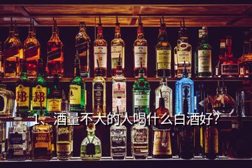 1、酒量不大的人喝什么白酒好？