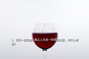 3、想买一批白酒，像古人存酒一样埋在地里，买什么酒好？