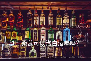 1、桑葚可以泡白酒喝吗？