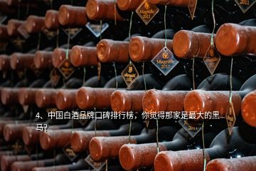 4、中国白酒品牌口碑排行榜，你觉得那家是最大的黑马？