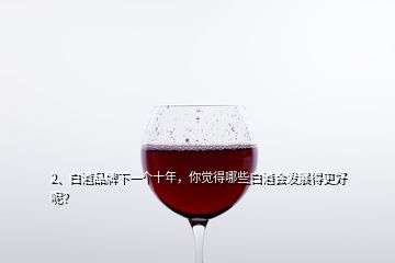 2、白酒品牌下一个十年，你觉得哪些白酒会发展得更好呢？