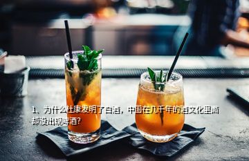 1、为什么杜康发明了白酒，中国在几千年的酒文化里面却没出现啤酒？