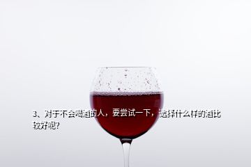 3、对于不会喝酒的人，要尝试一下，选择什么样的酒比较好呢？