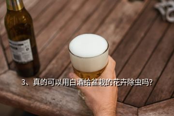 3、真的可以用白酒给盆栽的花卉除虫吗？