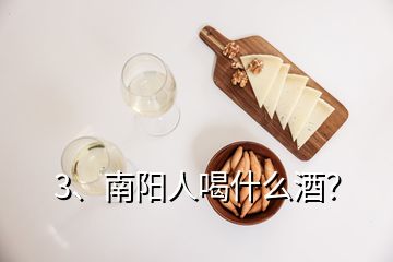 3、南阳人喝什么酒？