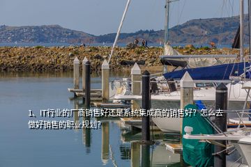 1、IT行业的厂商销售好还是系统集成商的销售好？怎么去做好销售的职业规划？