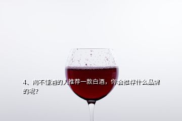 4、向不懂酒的人推荐一款白酒，你会推荐什么品牌的呢？
