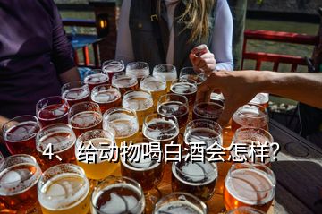 4、给动物喝白酒会怎样？