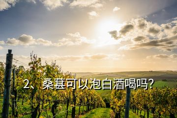 2、桑葚可以泡白酒喝吗？