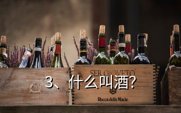 3、什么叫酒？