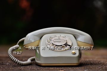 1、从“一夜爆红”到“狗都不喝”，江小白到底经历了什么？