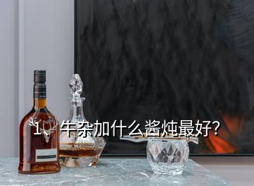 1、牛杂加什么酱炖最好？