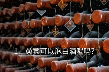 1、桑葚可以泡白酒喝吗？