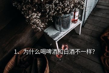 1、为什么喝啤酒和白酒不一样？