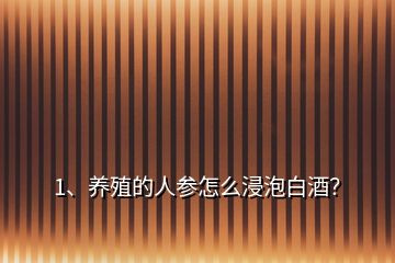 1、养殖的人参怎么浸泡白酒？