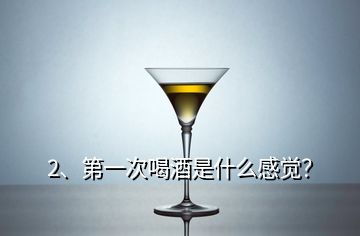 2、第一次喝酒是什么感觉？