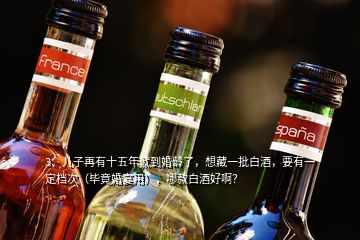 3、儿子再有十五年就到婚龄了，想藏一批白酒，要有一定档次（毕竟婚宴用），哪款白酒好啊？