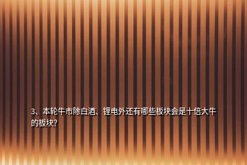 3、本轮牛市除白酒、锂电外还有哪些板块会是十倍大牛的板块？