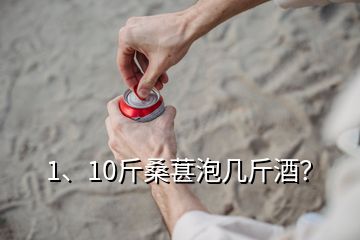 1、10斤桑葚泡几斤酒？