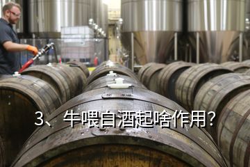 3、牛喂白酒起啥作用？