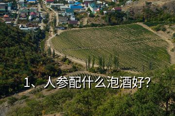 1、人参配什么泡酒好？