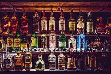 3、你喜欢红酒还是啤酒还是白酒或者清酒，为什么？