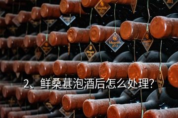 2、鲜桑葚泡酒后怎么处理？