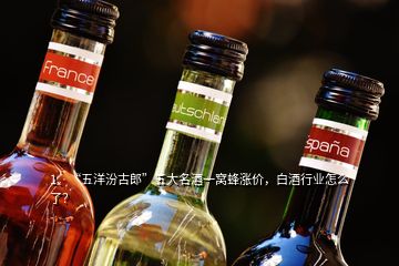 1、“五洋汾古郎”五大名酒一窝蜂涨价，白酒行业怎么了？