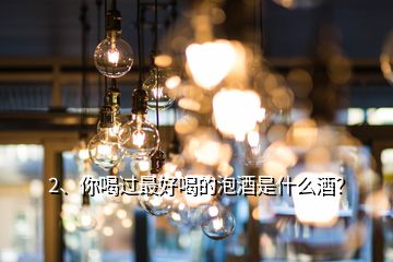 2、你喝过最好喝的泡酒是什么酒？