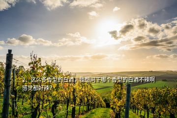 2、这么多香型的白酒，我想问下哪个香型的白酒不辣啊感觉都好辣？