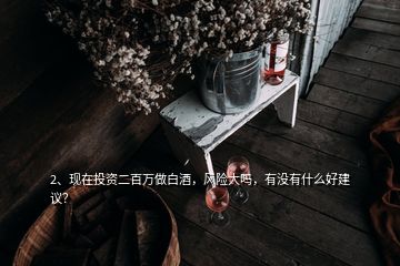 2、现在投资二百万做白酒，风险大吗，有没有什么好建议？