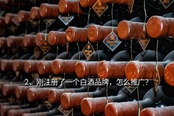 2、刚注册了一个白酒品牌，怎么推广？