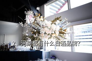 2、河南都有什么白酒品牌？