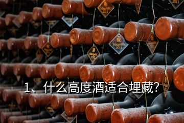 1、什么高度酒适合埋藏？