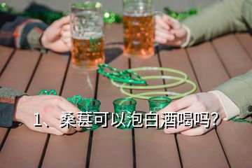 1、桑葚可以泡白酒喝吗？