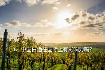 1、中国白酒在国际上有影响力吗？
